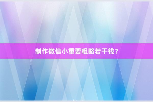 制作微信小重要粗略若干钱？