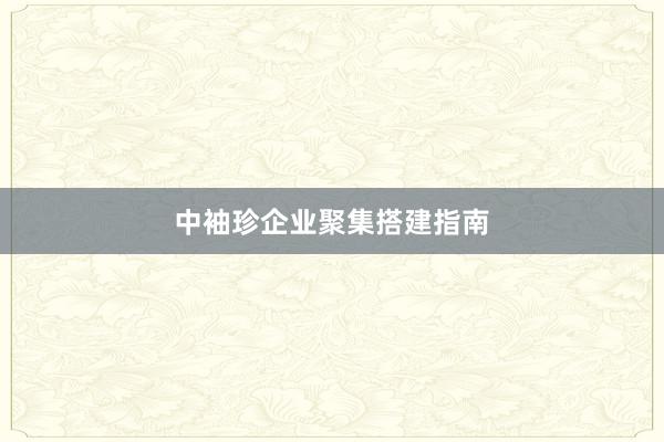 中袖珍企业聚集搭建指南
