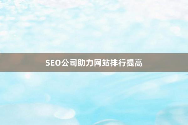 SEO公司助力网站排行提高
