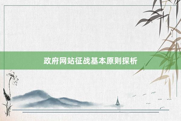 政府网站征战基本原则探析