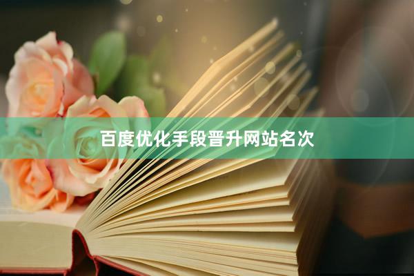 百度优化手段晋升网站名次