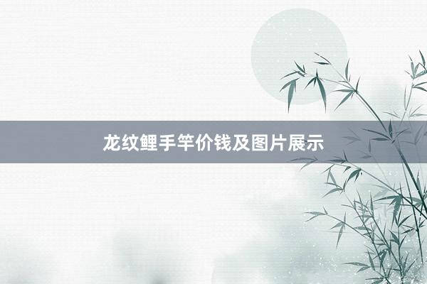 龙纹鲤手竿价钱及图片展示